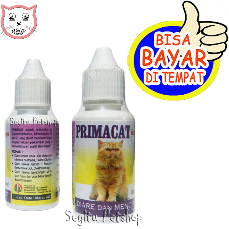 Obat Diare Mencret Kucing