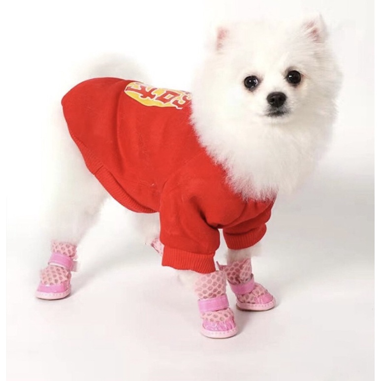 Domo casual pet shoes