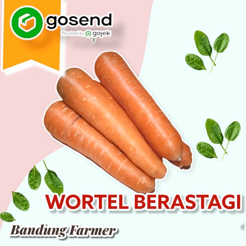 

wortel brastagi 1 kg value