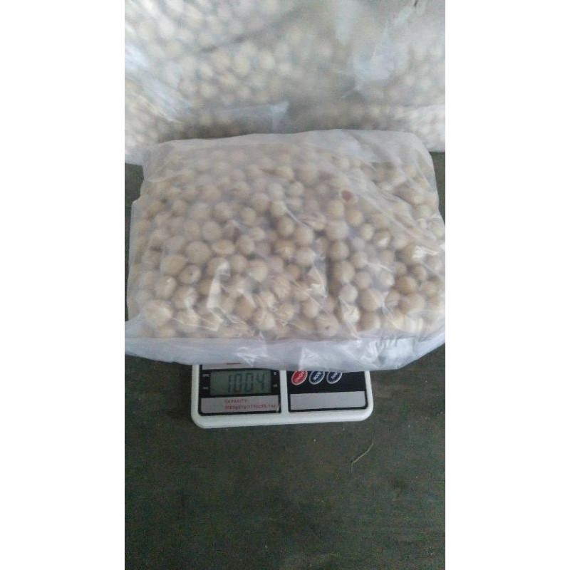 

sukro kacang kiloan