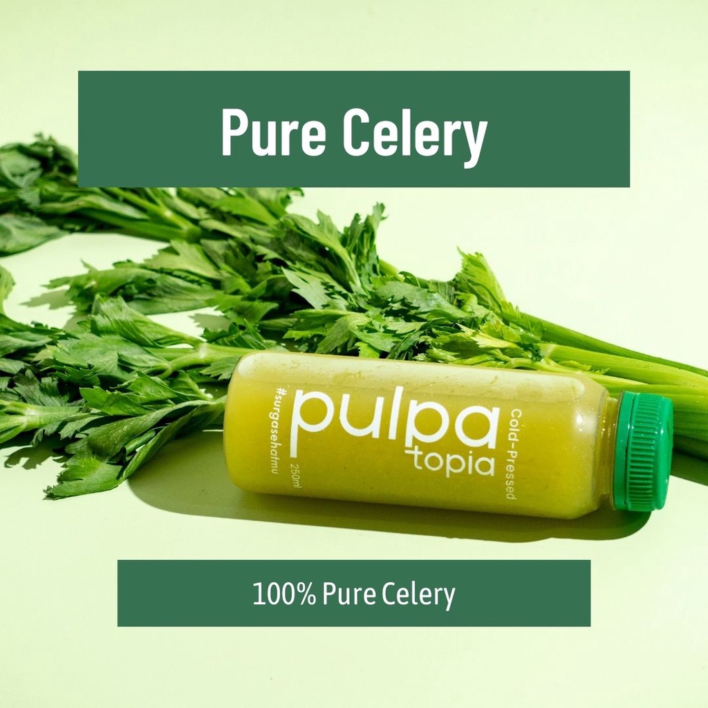 

Cold Pressed Juice Pure Celery - Jus Sehat Detox Diet Natural Sayur Buah 250ml 500ml Pulpatopia