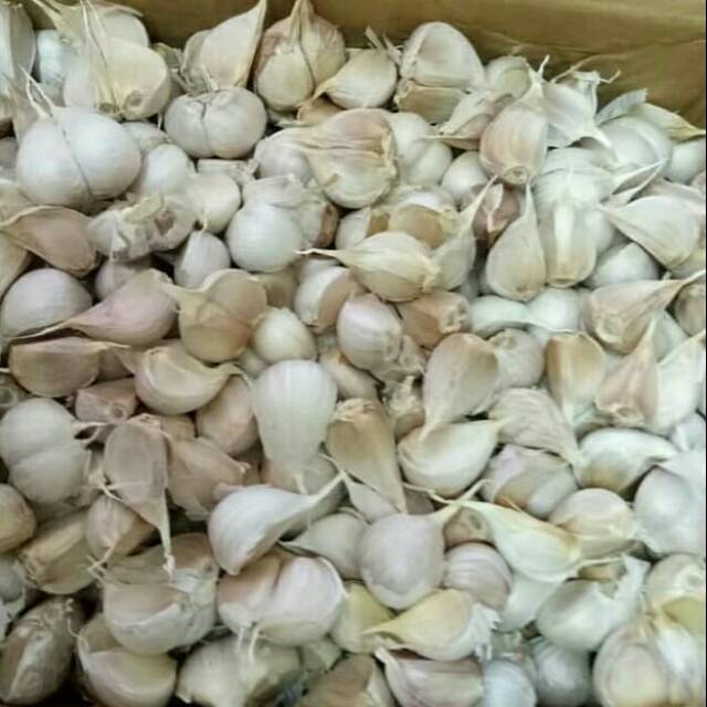 

BAWANG PUTING BAWANG PUTIH KATING 250 GRAM