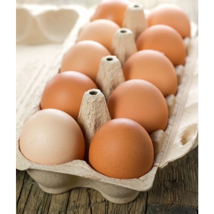 

telur ayam negeri 10 pcs
