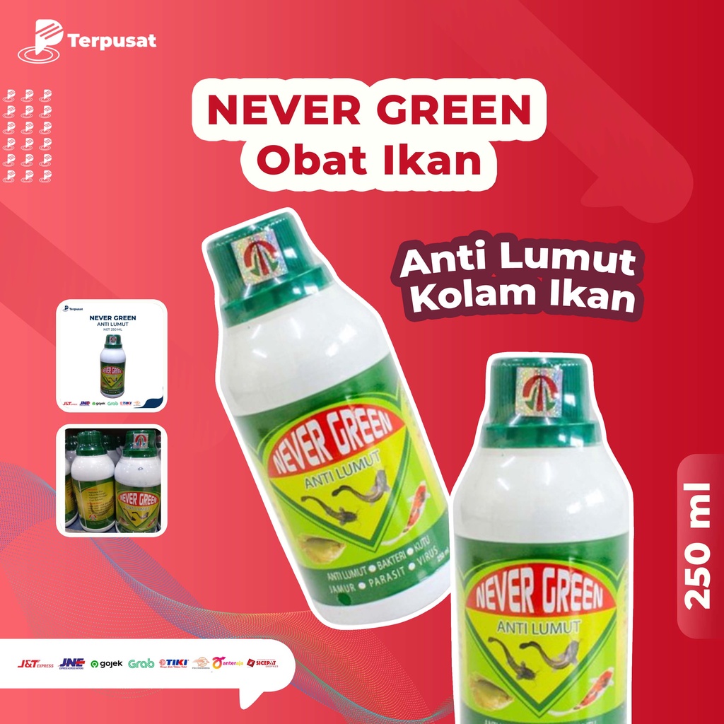 Never Green Anti Lumut 250ML Obat Ikan Menghambat Pertumbuhan Lumut Bakteri & Virus Kolam Ikan
