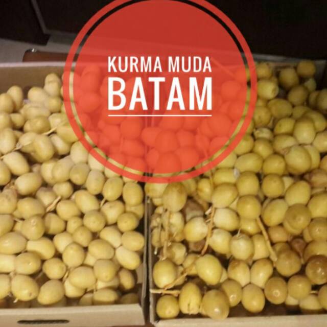 

Kurma muda kuning mentah mengkal di batam promil program hamil by B70