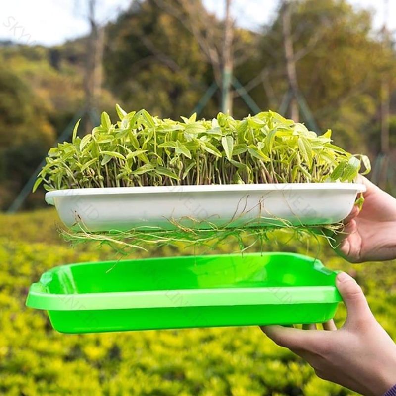 Tray Microgreen | Tray sayur Organik | Tray Tanaman