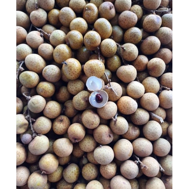 

buah kelengkeng logan manis [1kg]