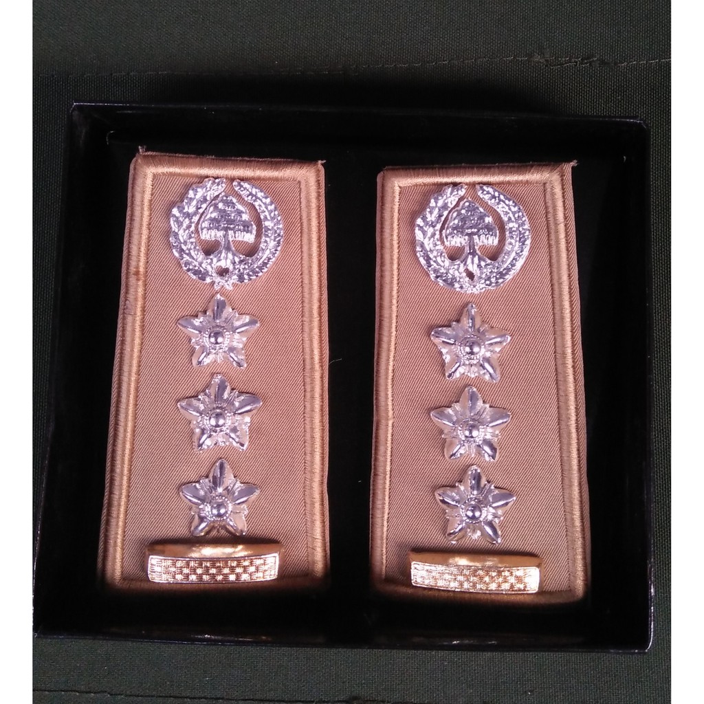 Tanda Pangkat ASN Gol 2D