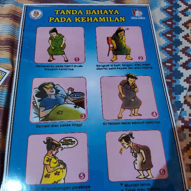 Poster Risiko Dan Risiko Tinggi Pada Ibu Hamil Shopee Indonesia