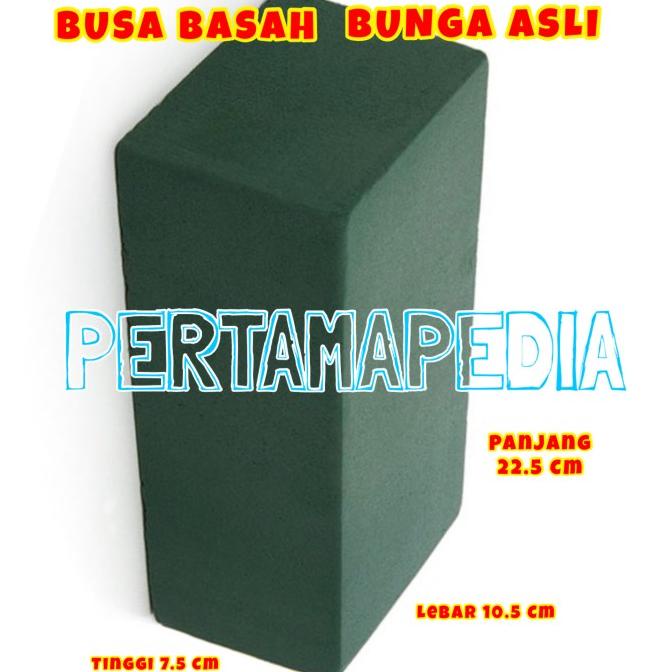 

Promo Awal tahun FLORAL FOAM BASAH/ BUSA HIJAU BASAH/ GABUS BUNGA HIDUP/ OASIS Promo Awal tahun