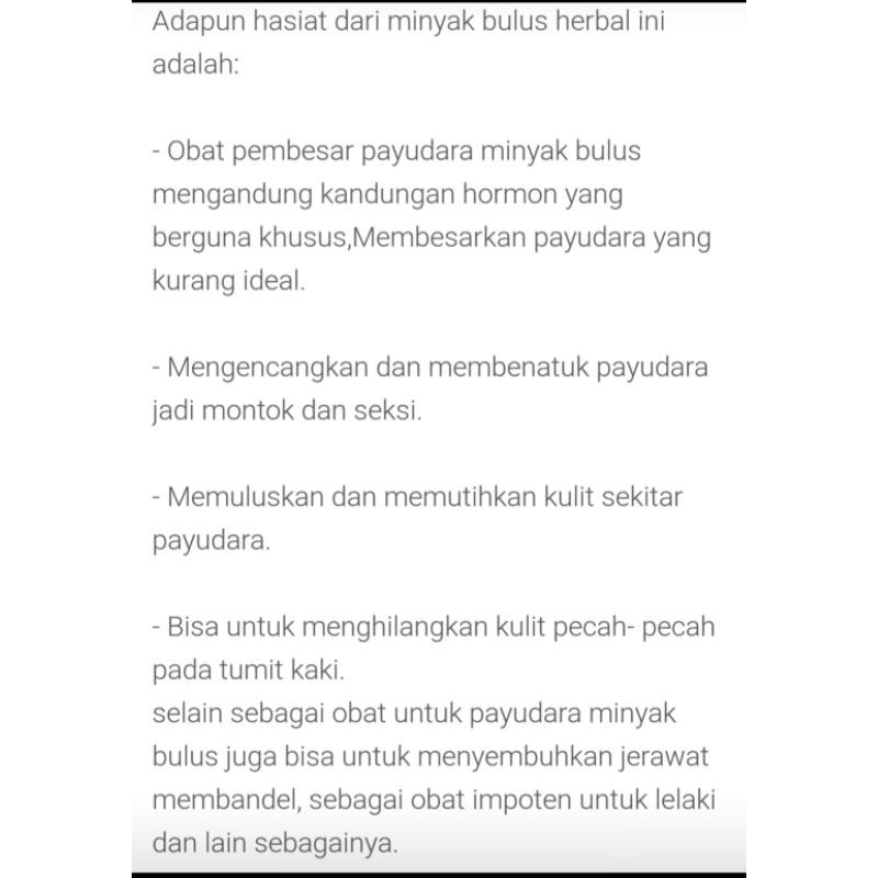 minyak bulus putih