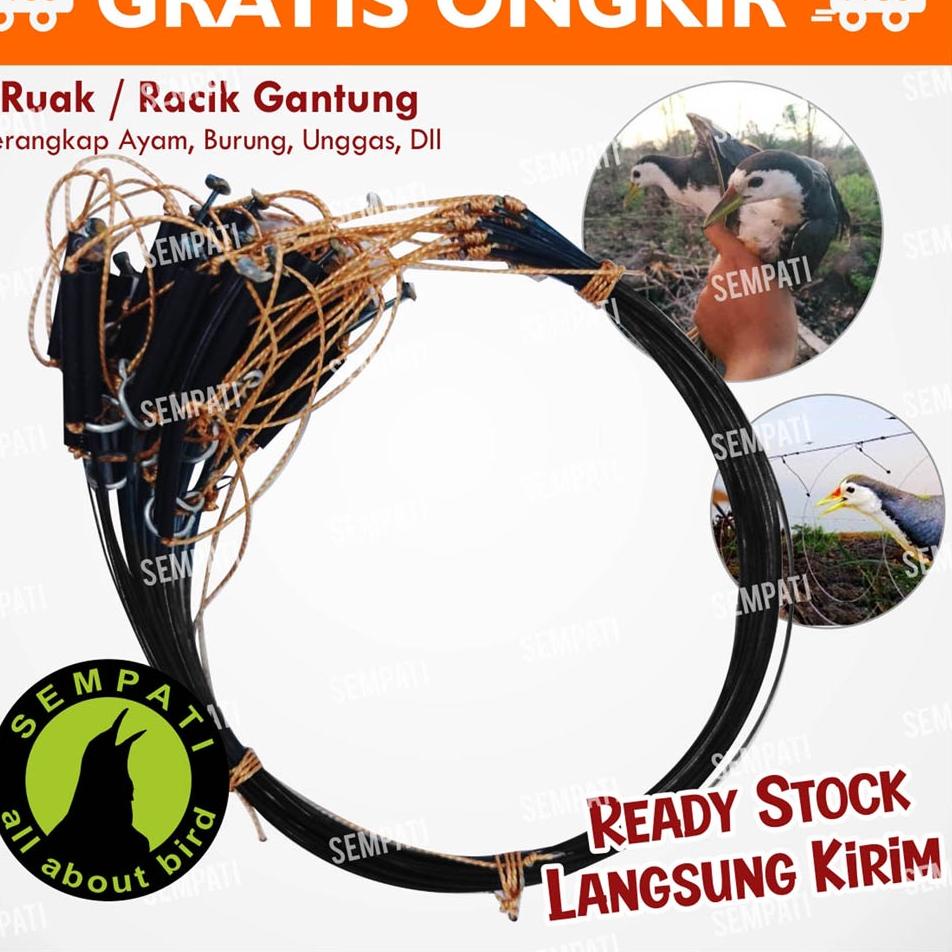 RACIK GANTUNG JERAT RUAK RUAK JERAT BURUNG JERAT AYAM RACIK RUAK JEBAKAN JONTROT KOREO SAWAH RCK ➜➷ 