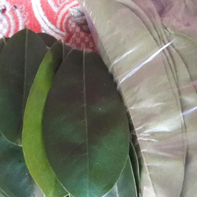 

Daun Sirsak Tua Segar 500G | By Khanza Store
