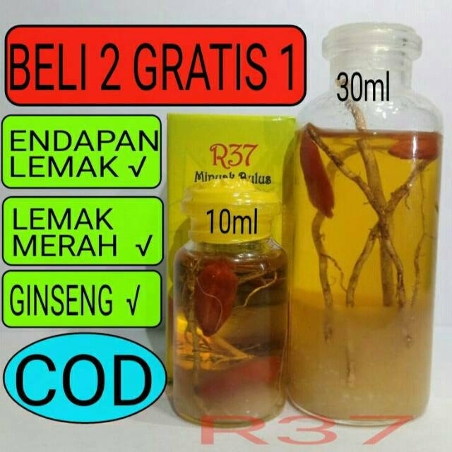 MINYAK BULUS PAPUA GINSENG MERAH R37 ORI ASLI ORIGINAL PEMBESAR PAYUDARA