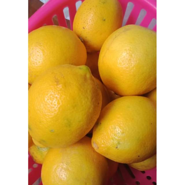 

Lemon California 36rb/2KG