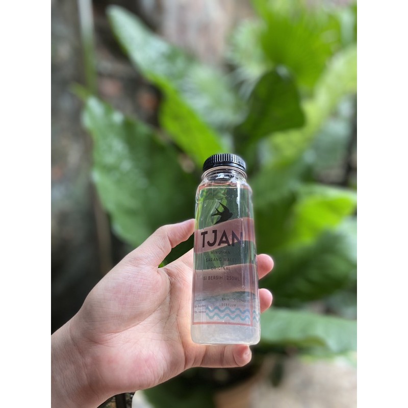 

Minuman Sarang Walet Tjan “ORIGINAL”