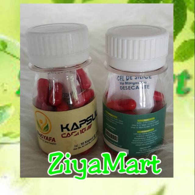 KAPSUL CACING PLUS PROBIOTIK BIOSYAFA / MAGH AKUT /TYPUS /INFEKSI USUS