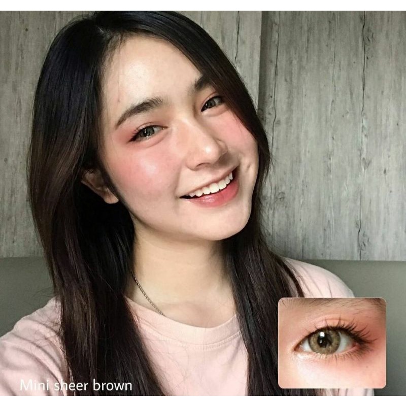 SOFTLENS MINI SHEER GRAY GREY. NORMAL/MINUS