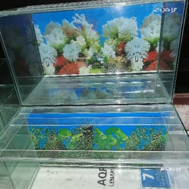 Akuarium ikan fishtank aquarium persegi 60x30x35cm