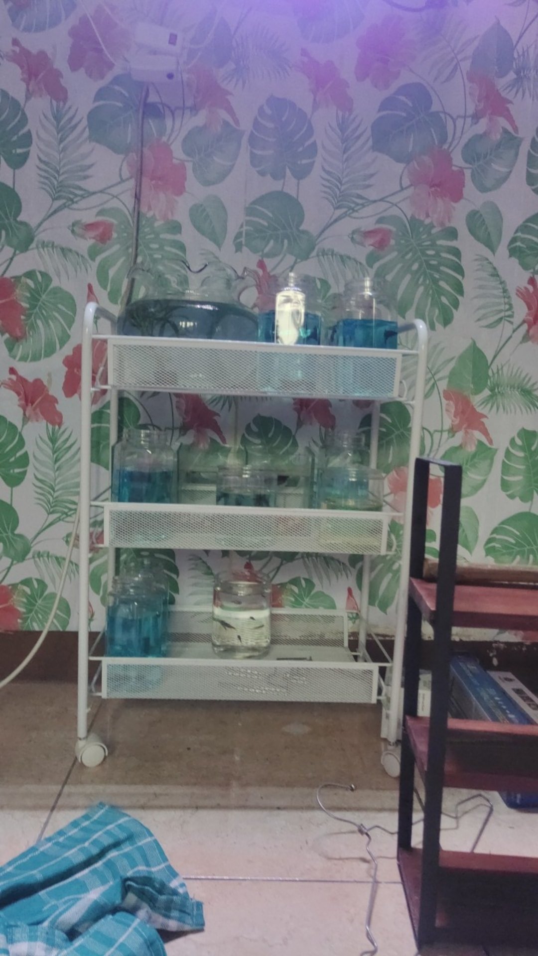 Botol Toples Fox Jar Tabung Plastik Bulat 300 Ml Kue Cylinder Kacang Bumbu Kopi Bubuk Kecil Permen