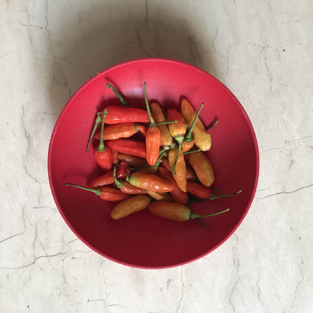 

(KIRIM INSTAN) CABAI RAWIT