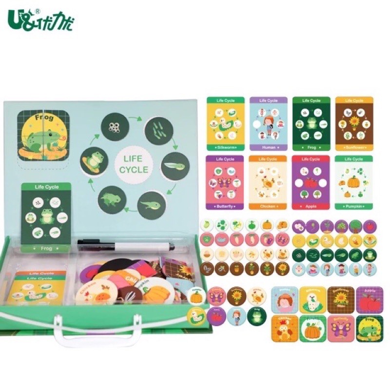 Ucmd Life cycle magnetic puzzle box - kado anak - hadiah anak - mainan edukasi anak