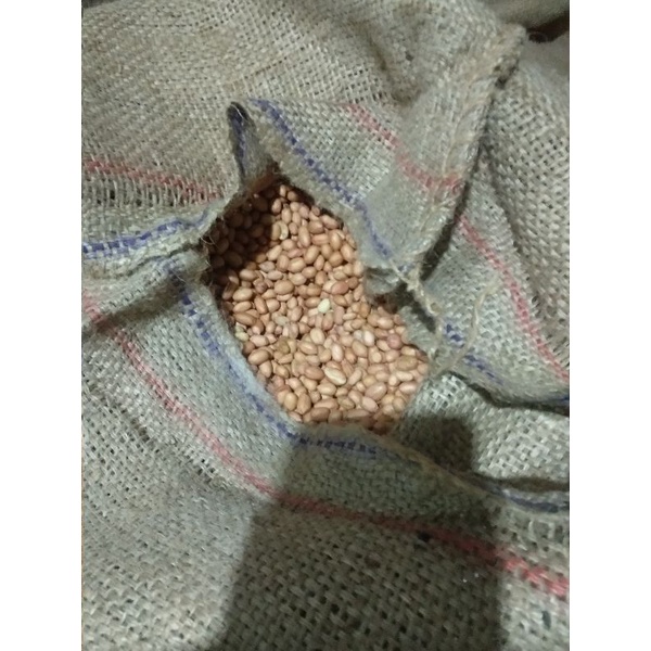 

KACANG TANAH 250g kemasan ( repack)