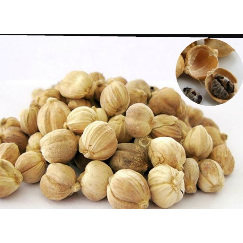 

biji kapulaga / kapol,500g-1kg