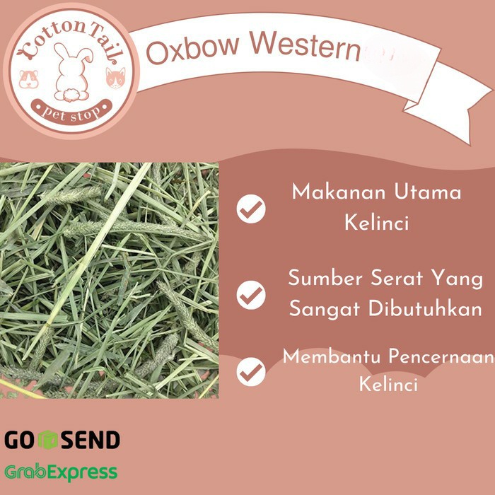 OXBOW Western TIMOTHY Hay 100 GR / Rumput Makanan Kelinci, Cavy