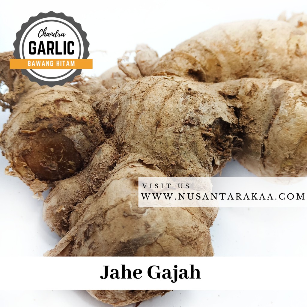 

Promo Jahe gajah 1 kg