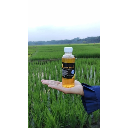 

MADU MURNI / MADU ASLI / MADU TANPA CAMPURAN / MADU KESEHATAN / MADU 130ml