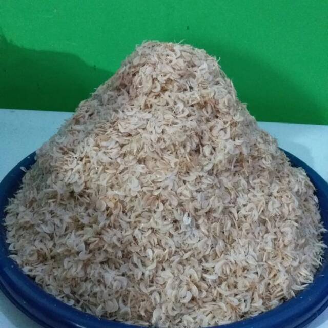 

Udang rebon 250 gr