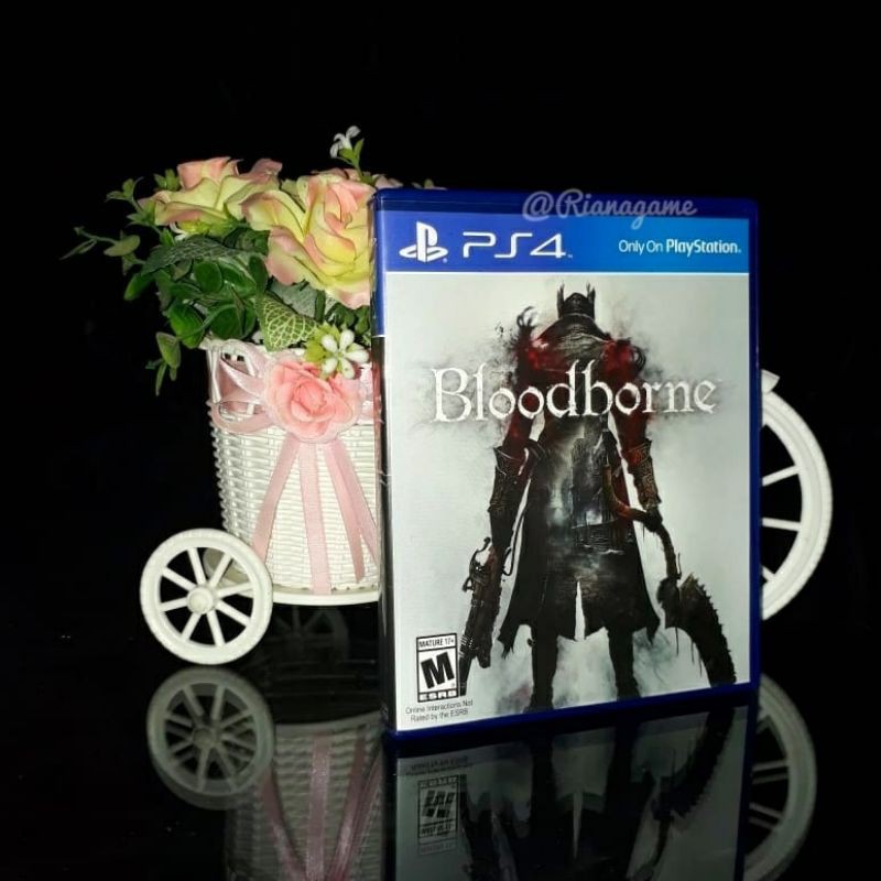 BD Kaset PS4 Bloodborne Game PS 4 Bekas Second Mulus