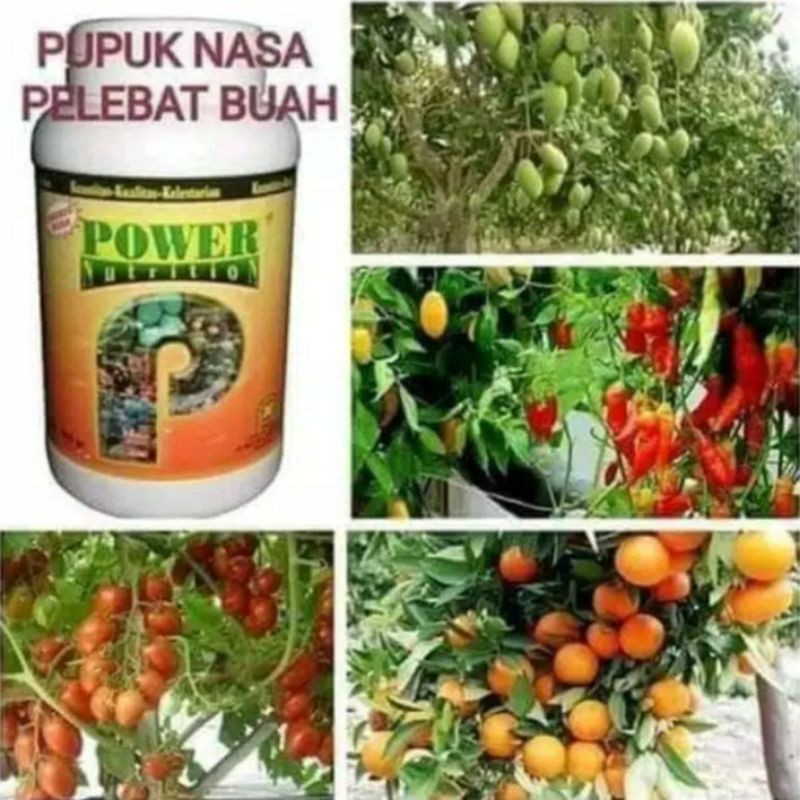 Pelebat Buah Power Nutrition Nasa