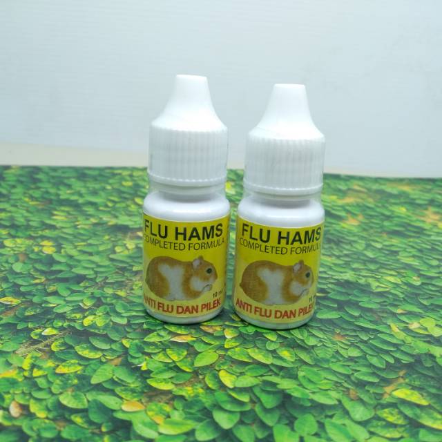 Obat flu / fluhams / flu hams untuk hamster