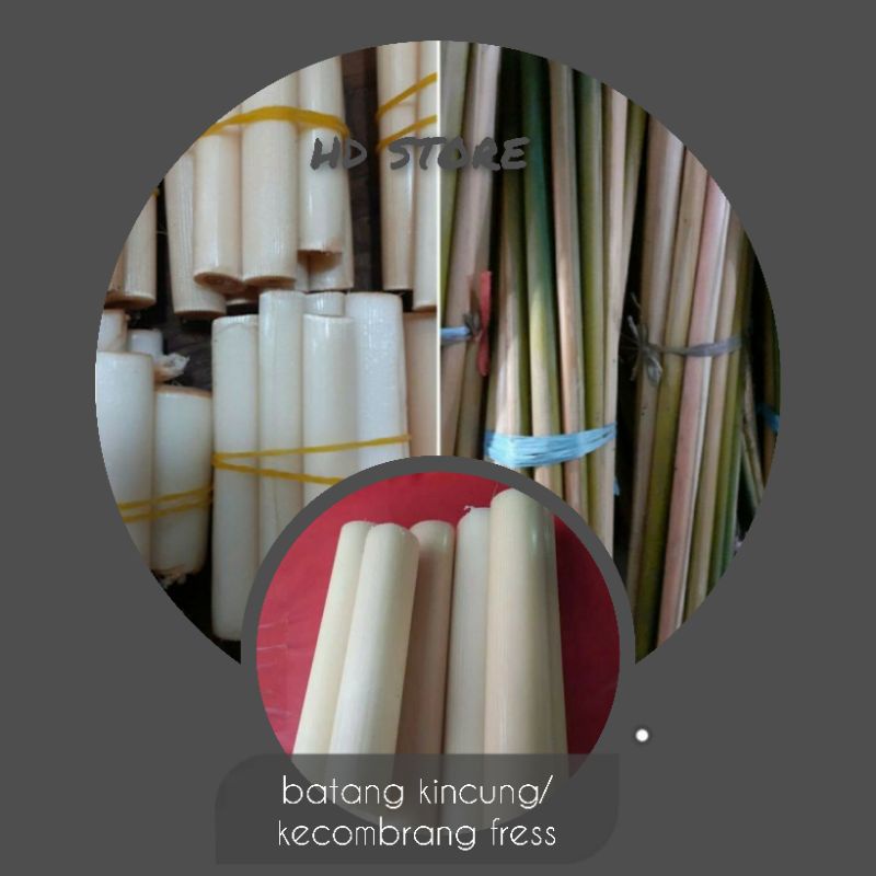 

batang kincung/ares kecombrang fress diambil ketika ada order