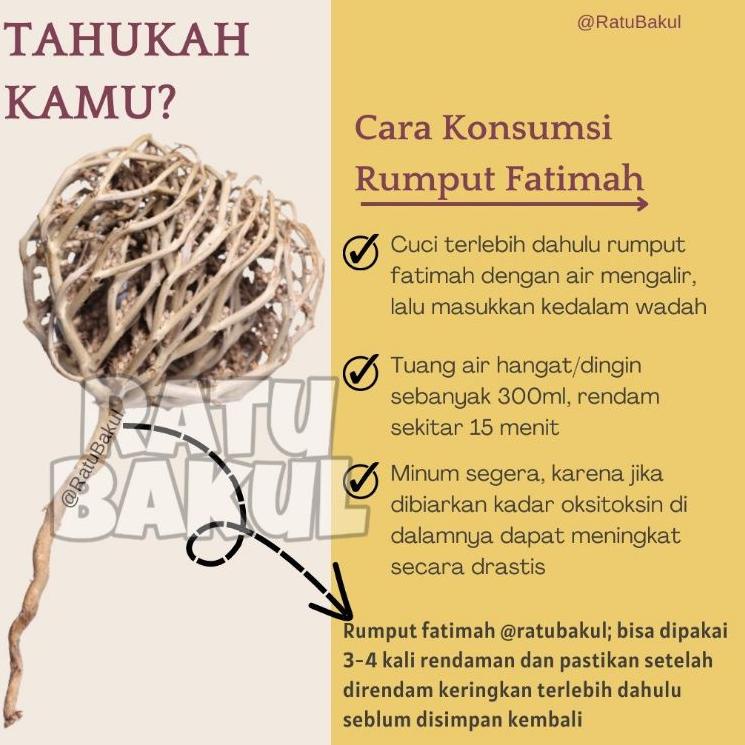 

[V-ELR-✔) rumput fatimah original kaff maryam fatimah asli-paling laris