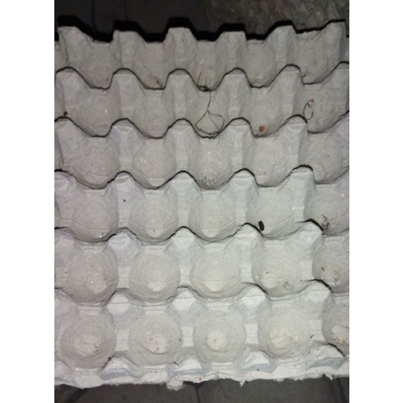 tray karton, tray telur ayam dan telur bebek bekas