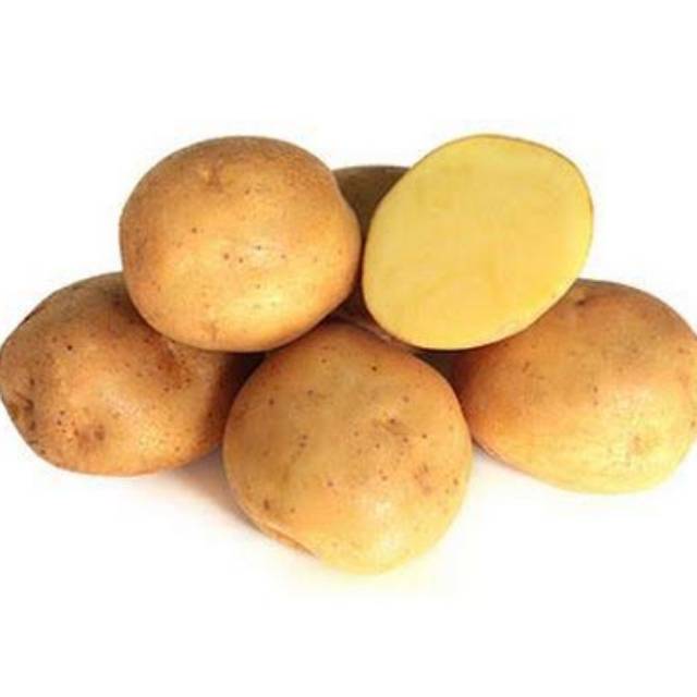 

Tokko Kentang Ekonomis