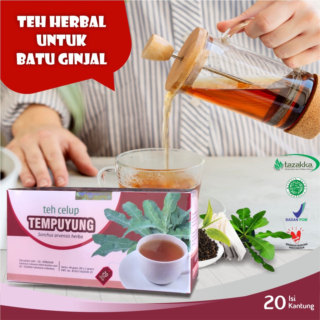 

Teh Celup Daun Tempuyung Isi 20 Kantung | Herbal Tazakka | Original
