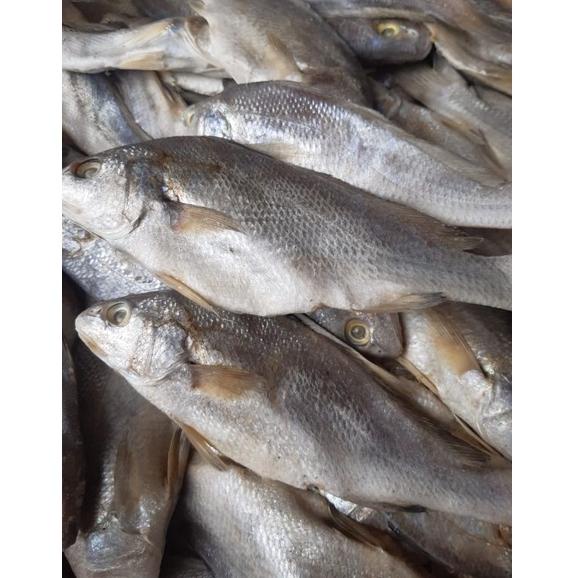 

[PRODUK P0R8O] Ikan Asin Sileman 500 gr IB0