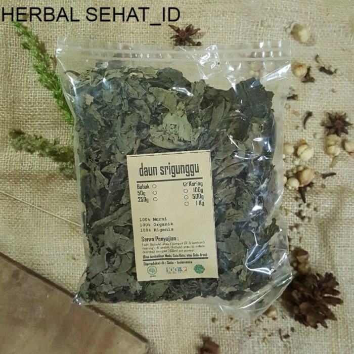 

DAUN SRIGUNGGU SENGGUGU KERING 250 gr - Clerodendron Serratum - MURNI