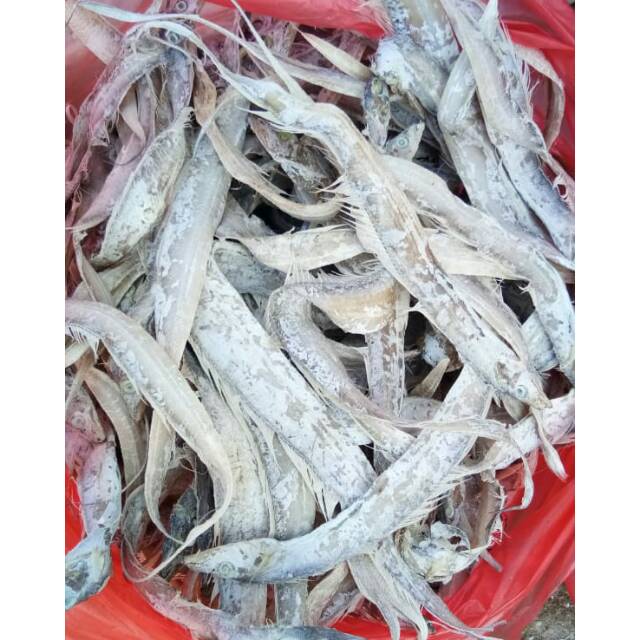 

Ikan Asin layur 1kg