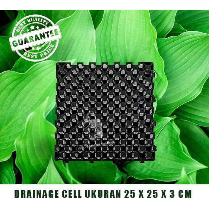 DRAINAGE CELL 25 X 25 Papan Drainase Alas Drainase Alas Rumput Sintetis Drainase Rumput Sintetis