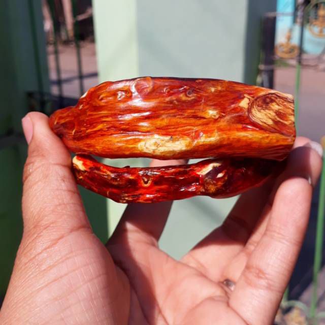 Akar bahar merah polos size jumbo