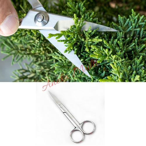 

GUNTING BONSAI PRUNING DAUN STAINLESS steel lurus Best Seller