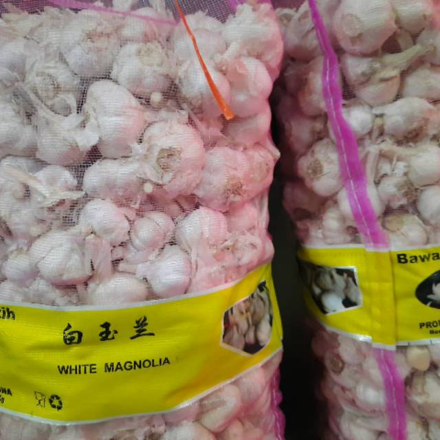 

Bawang putih kating 1kg