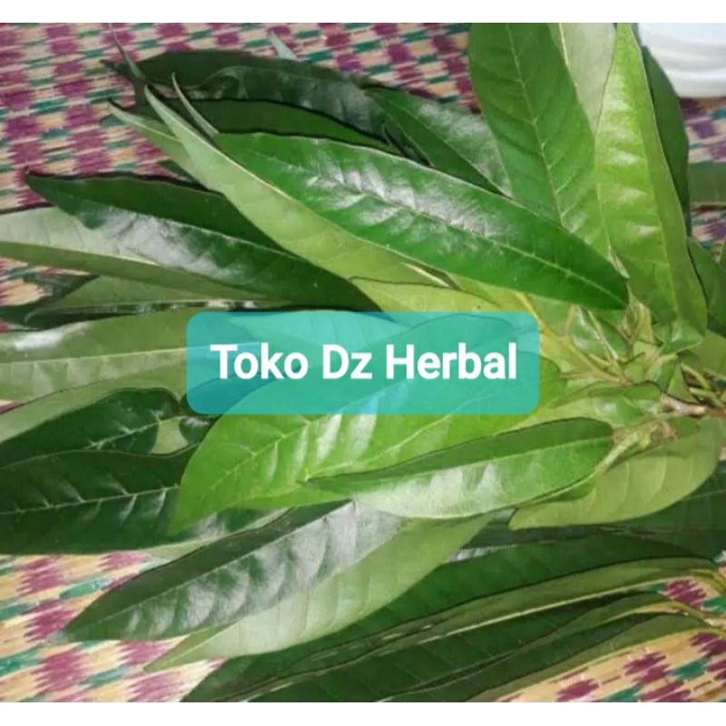 

Daun nona daun srikaya segar 500 gram-az