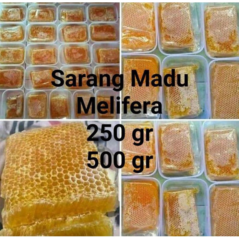 

Madu Asli Semanding Tuban - Sarang Madu Melifera