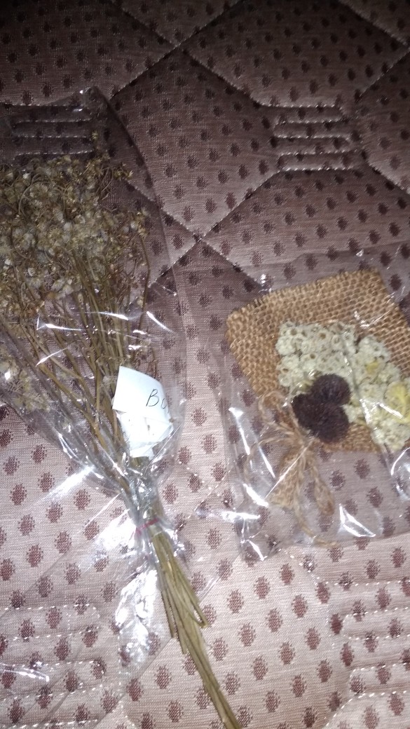 Aneka Bunga Kering/ Dried Flower/ Bunga Kering